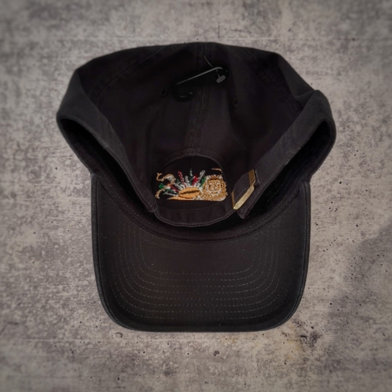 The Lion and the Persian Sun Dad Hat - Iranian Flag Rays of Sun