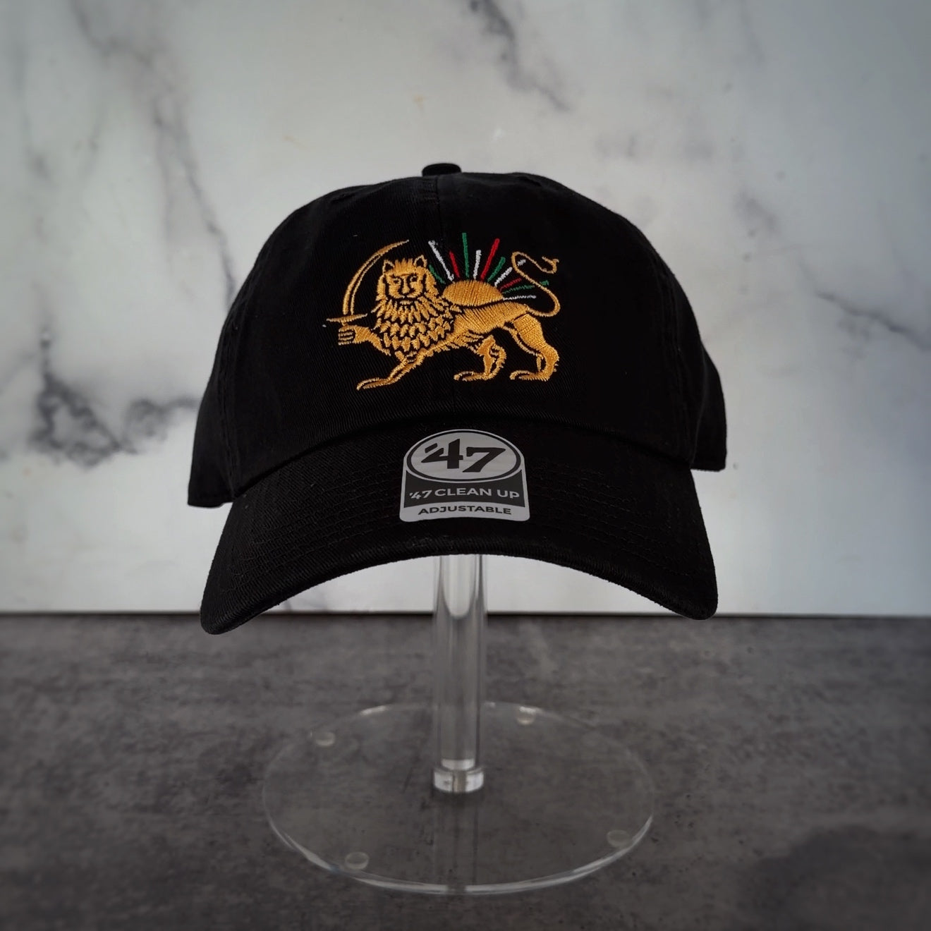 The Lion and the Persian Sun Dad Hat - Iranian Flag Rays of Sun