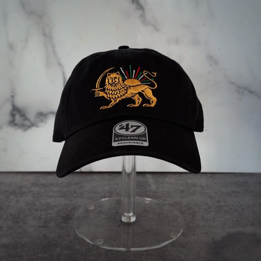 The Lion and the Persian Sun Dad Hat - Iranian Flag Rays of Sun