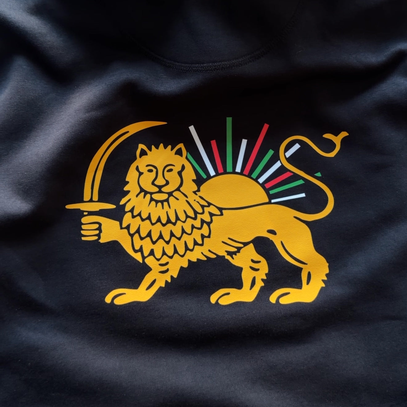 The Lion and the Sun Sustainable and Organic Hooded Sweatshirt