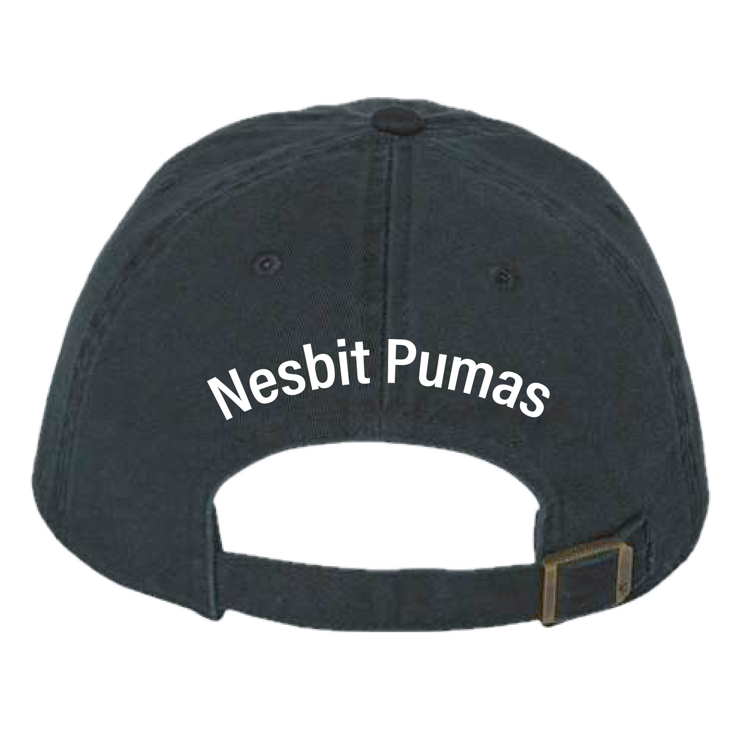 Puma Pride Dad Hat